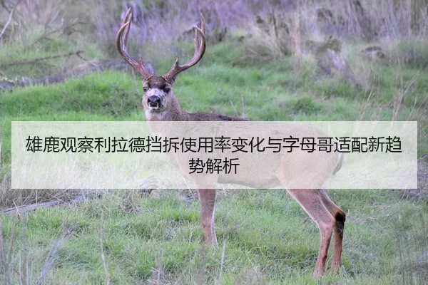 xiong-lu-guan-cha-li-la-de-dang-chai-shi-yong-lv-bian-hua-yu-zi-mu-ge-shi-pei-xin-qu-shi-jie-xi-3-132.jpg