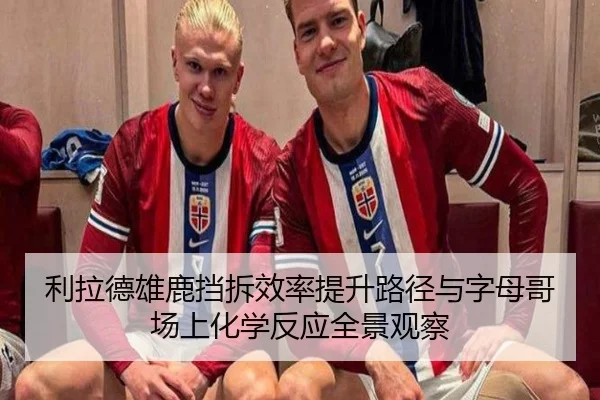 利拉德雄鹿挡拆效率提升路径与字母哥场上化学反应全景观察